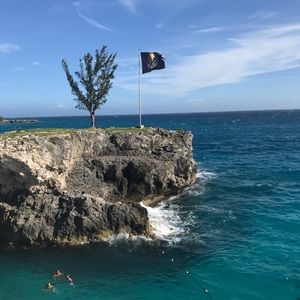 Meet your Posher, Bobby